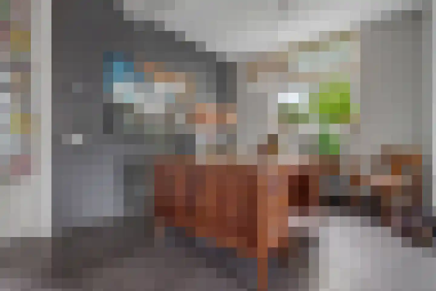 Julianastraat 127 Dongen thumbnail 30