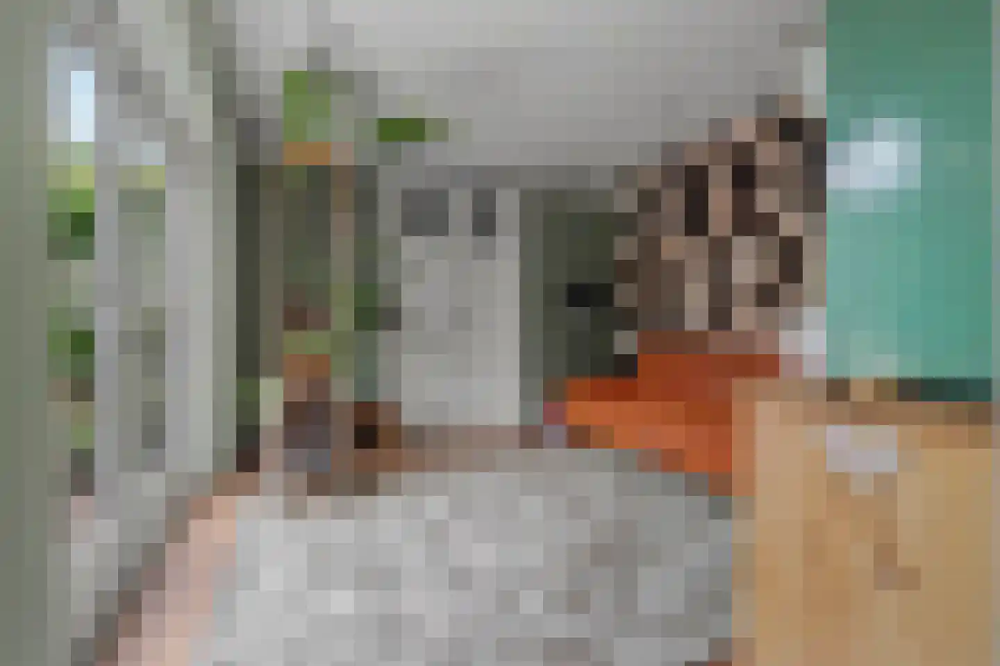 Julianastraat 127 Dongen thumbnail 31