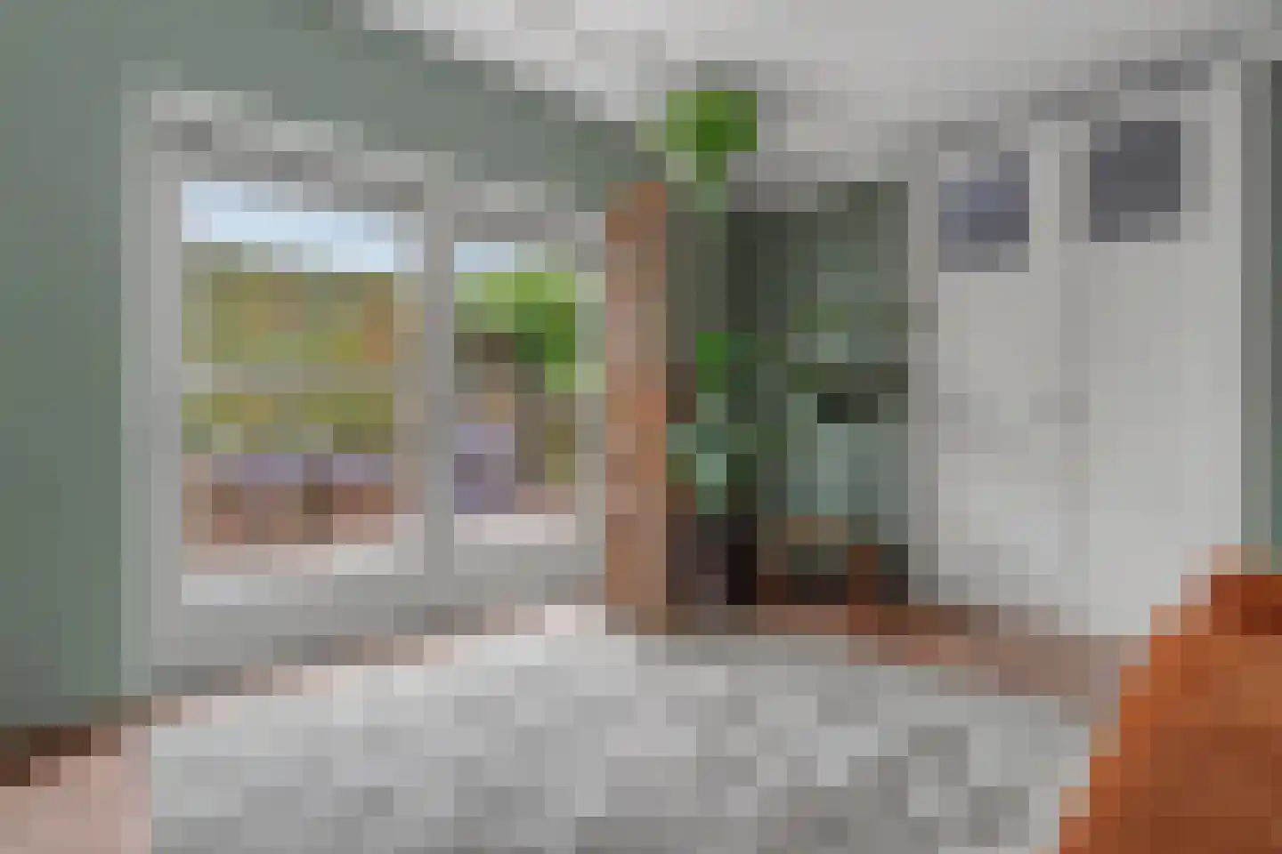 Julianastraat 127 Dongen thumbnail 32