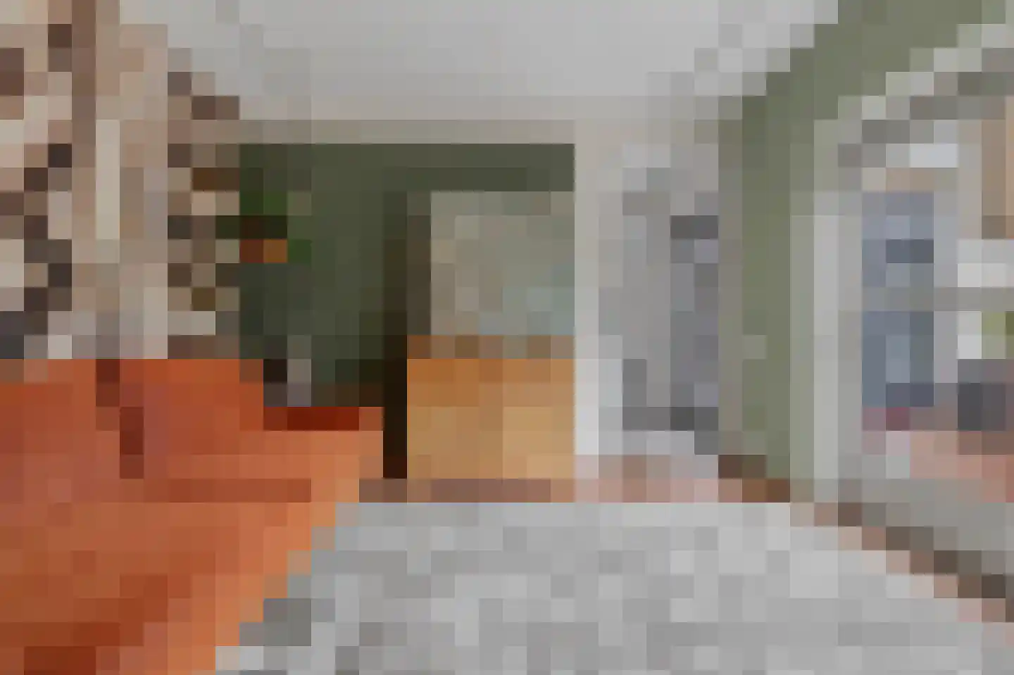 Julianastraat 127 Dongen thumbnail 33