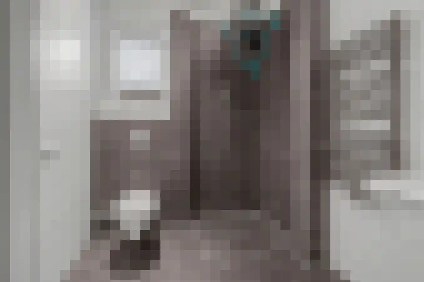 Julianastraat 127 Dongen thumbnail 38