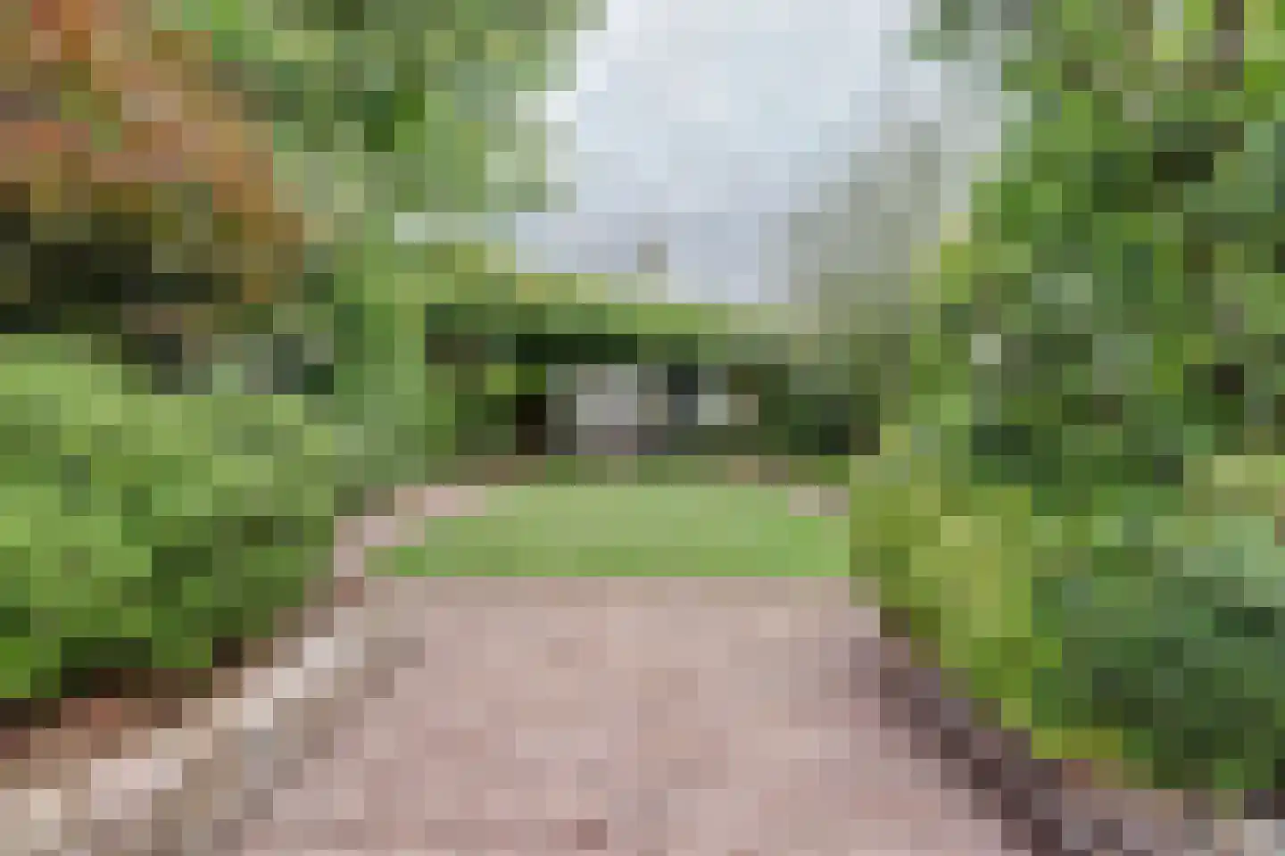 Julianastraat 127 Dongen thumbnail 4