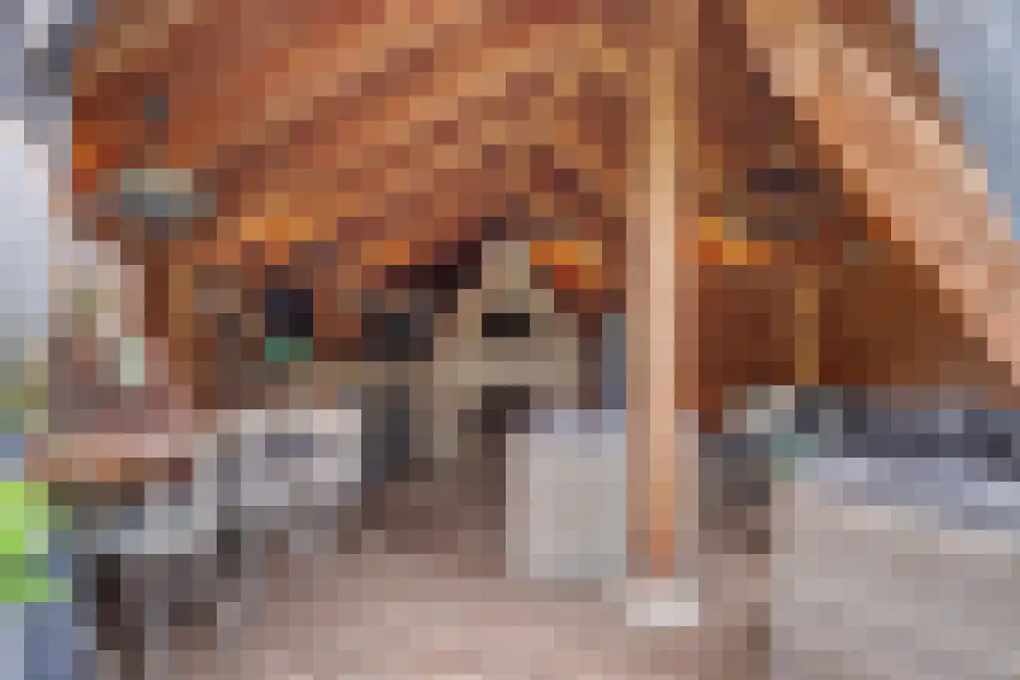 Julianastraat 127 Dongen thumbnail 56