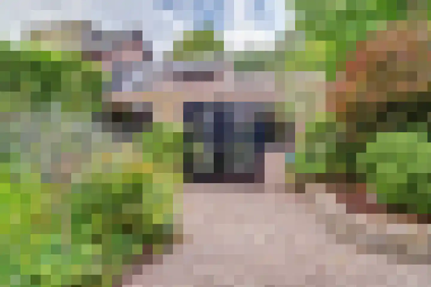Julianastraat 127 Dongen thumbnail 59