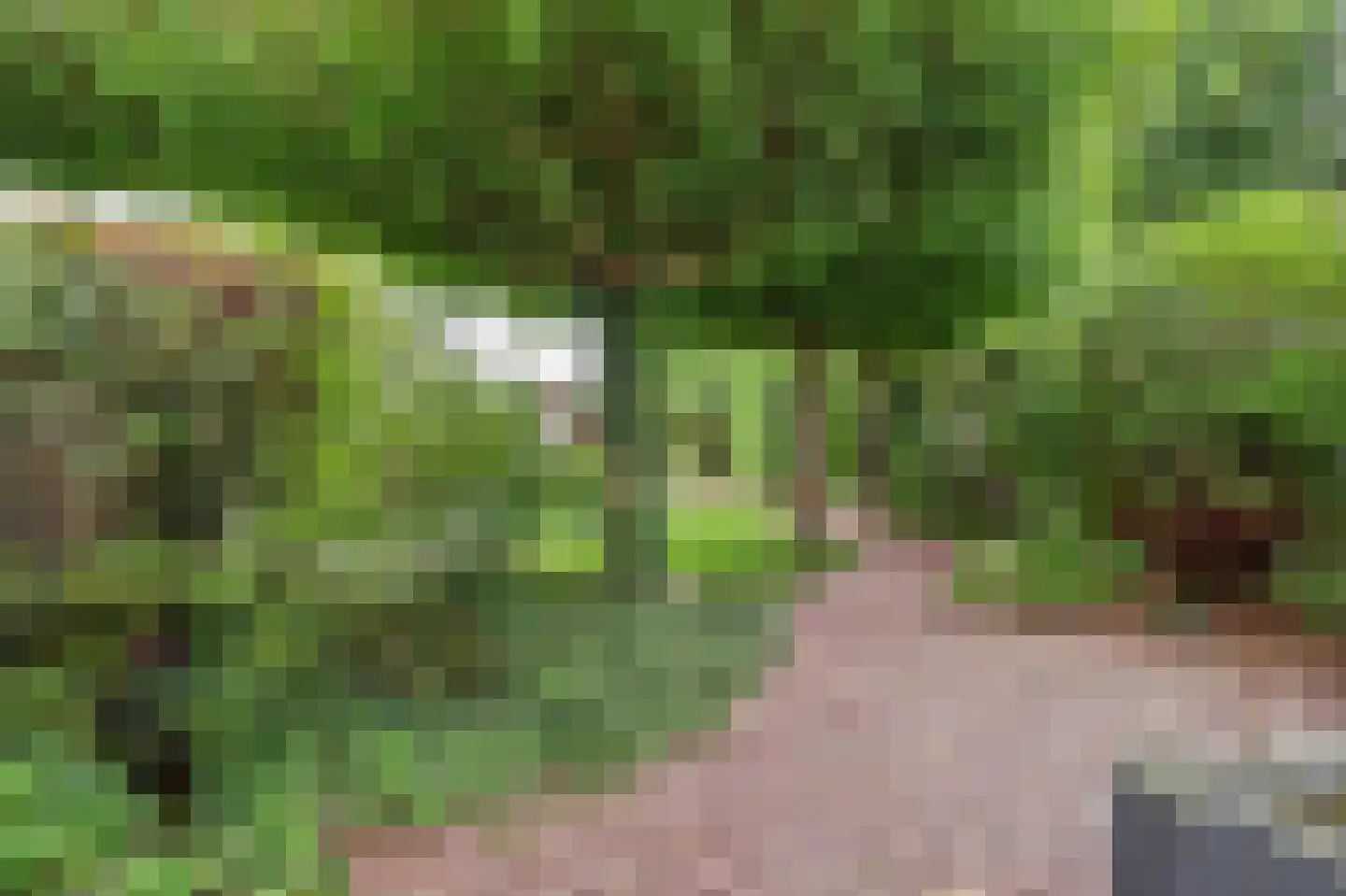 Julianastraat 127 Dongen thumbnail 60
