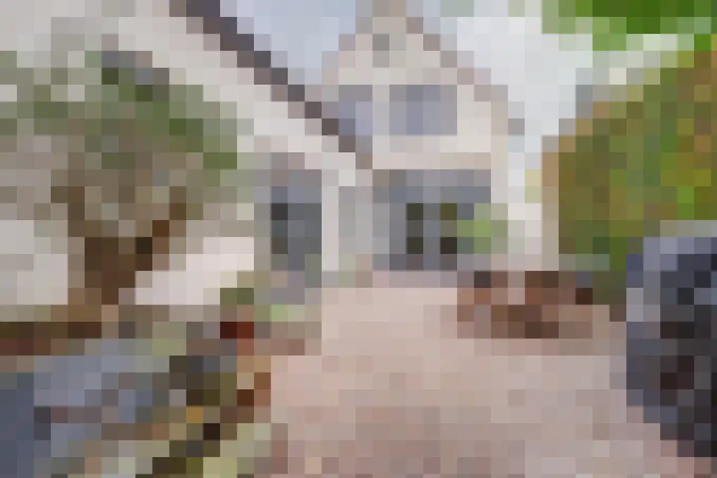 Julianastraat 127 Dongen thumbnail 62