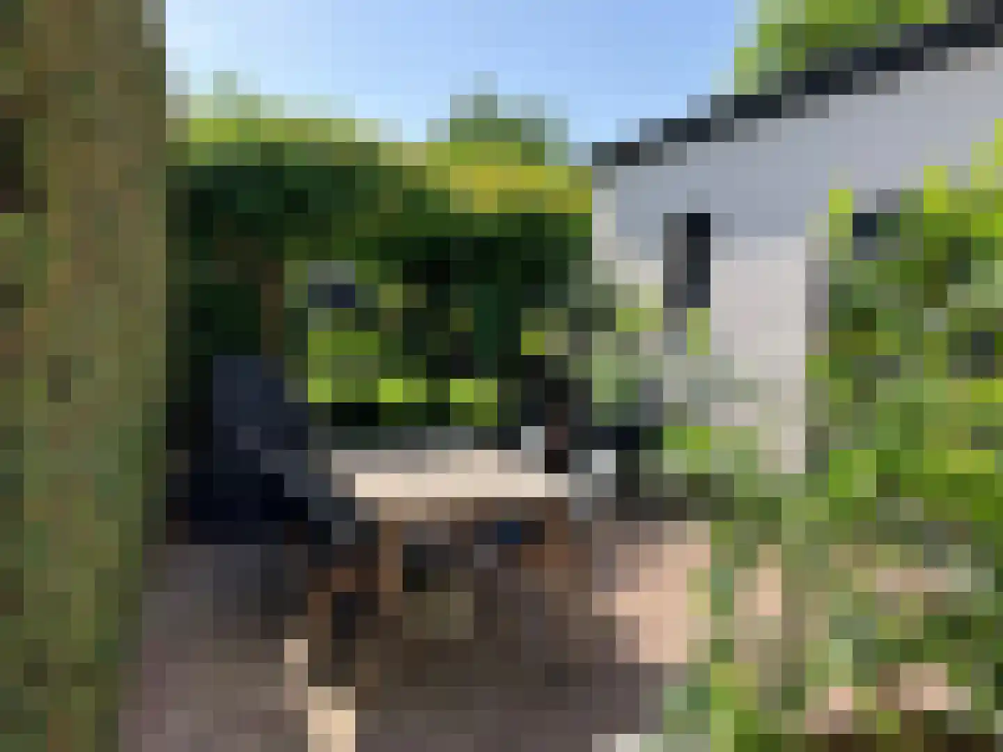 Julianastraat 127 Dongen thumbnail 73