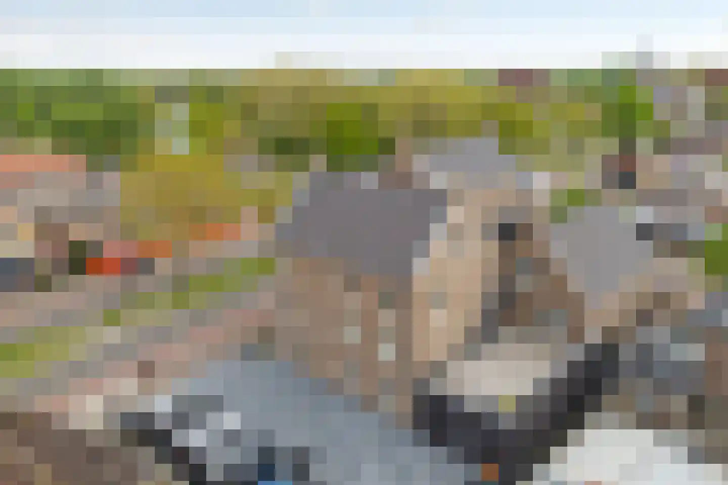 Julianastraat 128 Dedemsvaart thumbnail 4