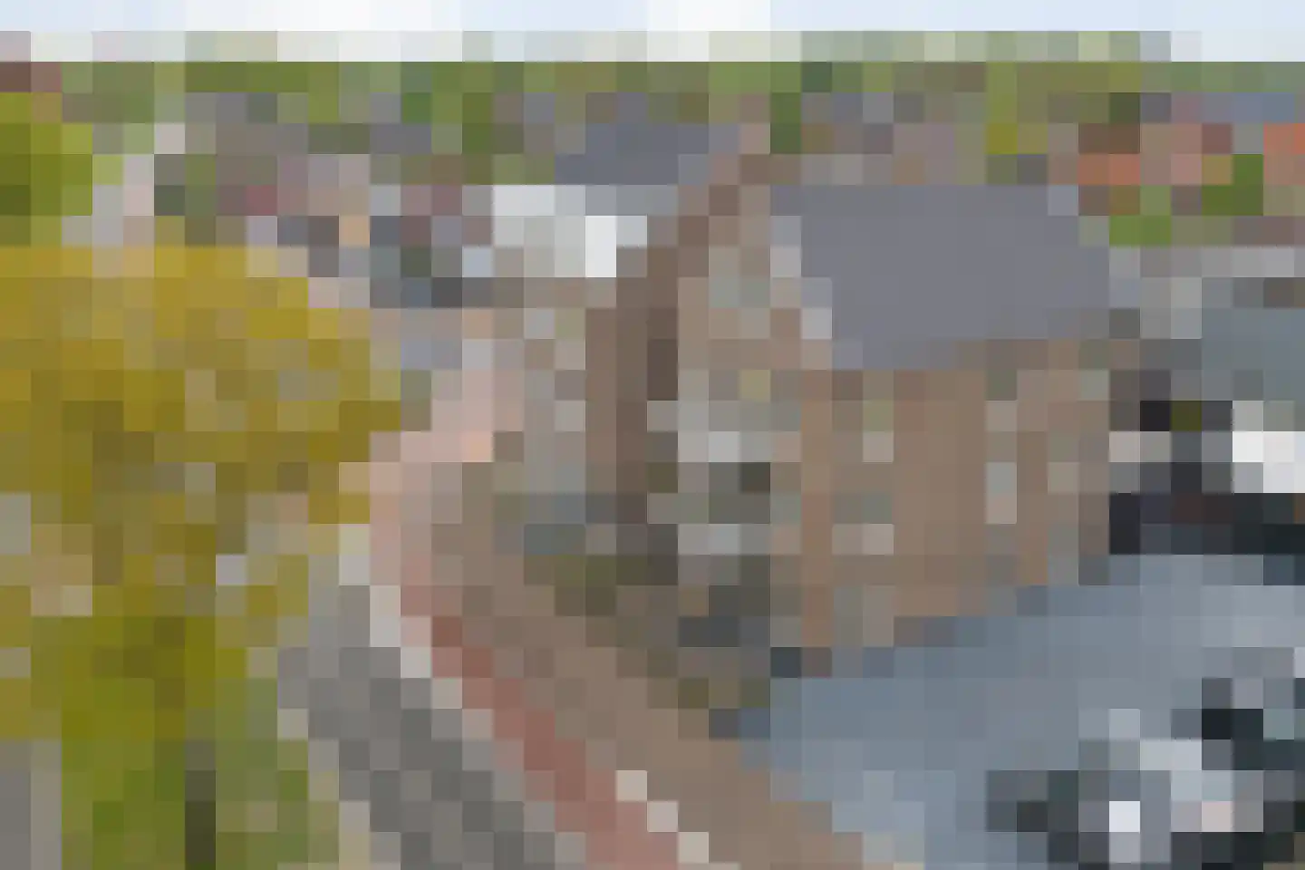Julianastraat 128 Dedemsvaart thumbnail 5