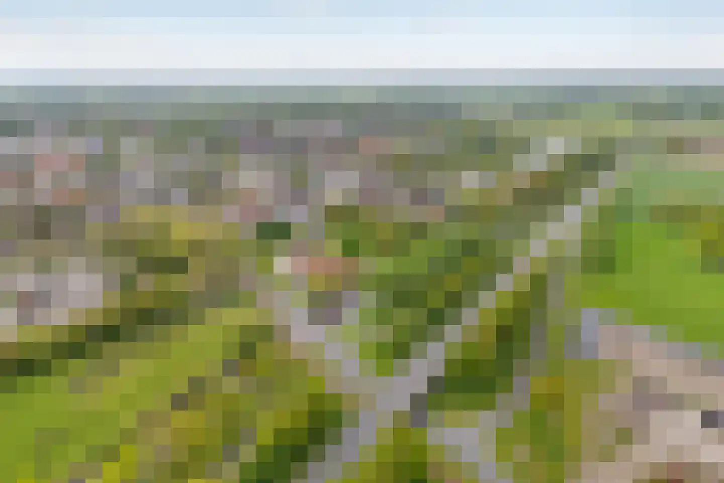 Julianastraat 128 Dedemsvaart thumbnail 57