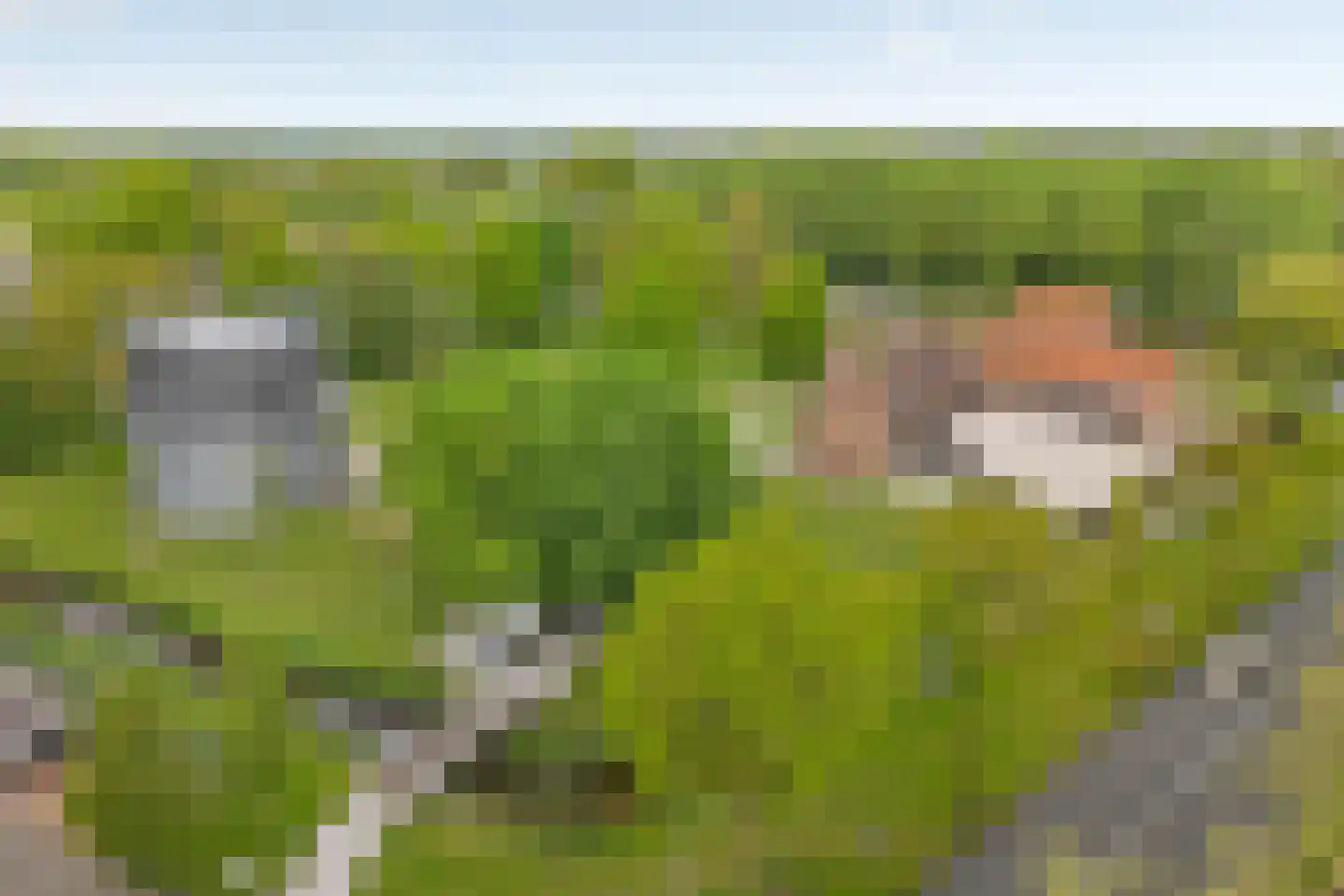 Julianastraat 128 Dedemsvaart thumbnail 58