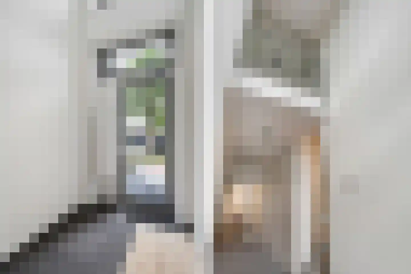 Julianastraat 128 Dedemsvaart thumbnail 8