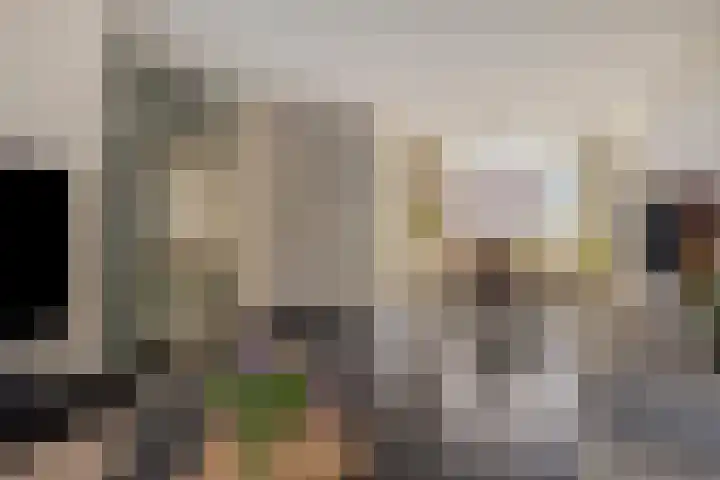 Julianastraat 13 Axel thumbnail 10