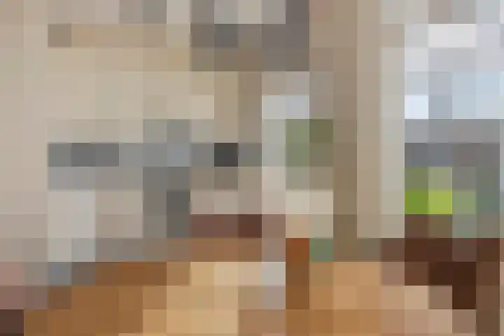 Julianastraat 13 Axel thumbnail 11