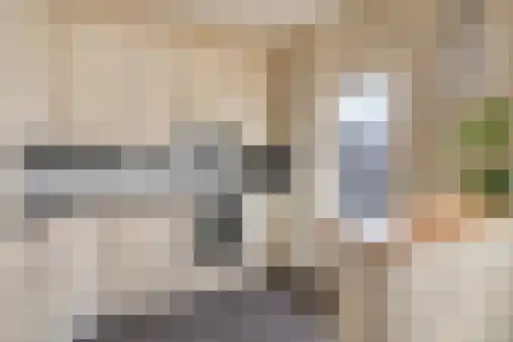 Julianastraat 13 Axel thumbnail 12
