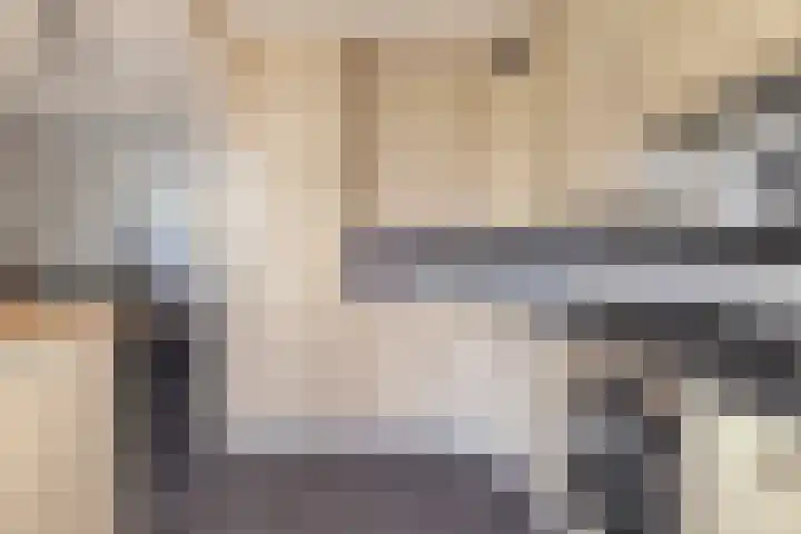 Julianastraat 13 Axel thumbnail 14