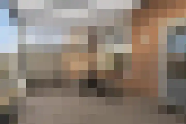 Julianastraat 13 Axel thumbnail 24