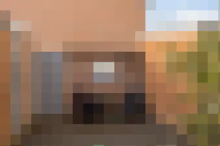 Julianastraat 13 Axel thumbnail 25