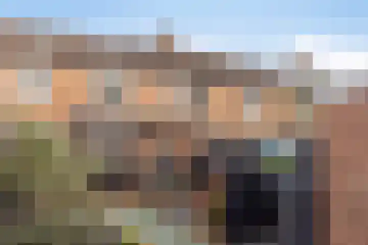 Julianastraat 13 Axel thumbnail 26