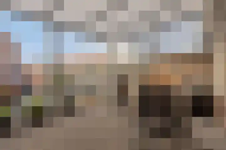 Julianastraat 13 Axel thumbnail 4