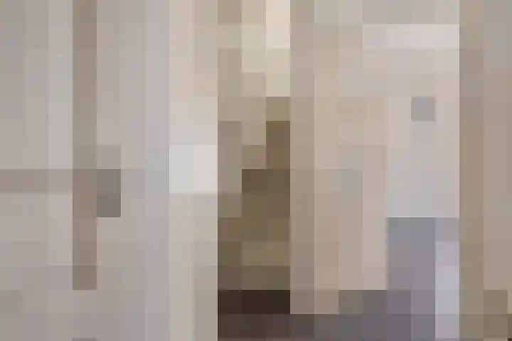 Julianastraat 13 Axel thumbnail 7