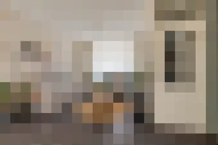 Julianastraat 13 Axel thumbnail 8