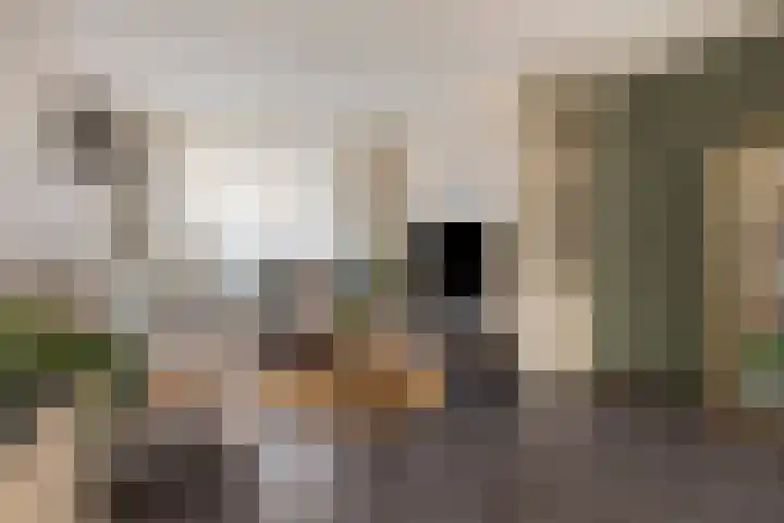 Julianastraat 13 Axel thumbnail 9