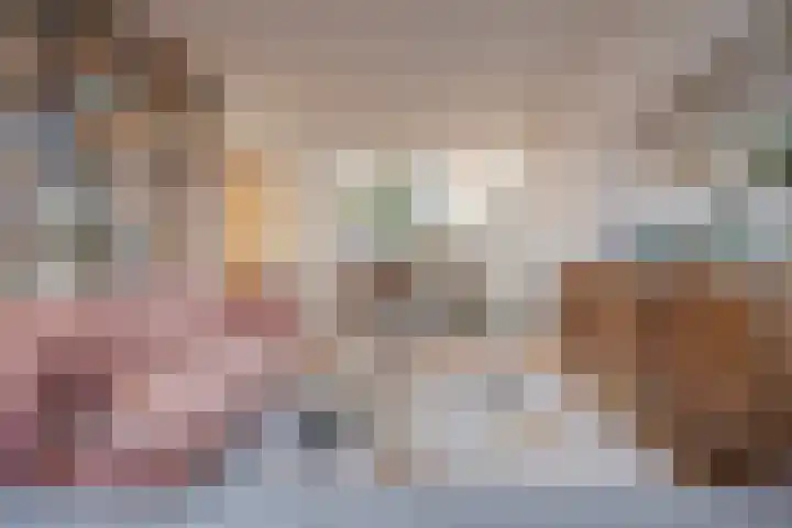 Julianastraat 13 Duiven thumbnail 11