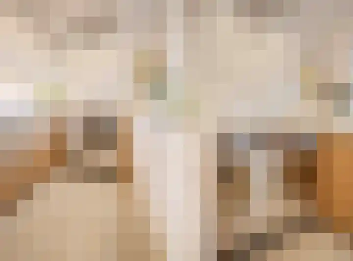 Julianastraat 13 Duiven thumbnail 14