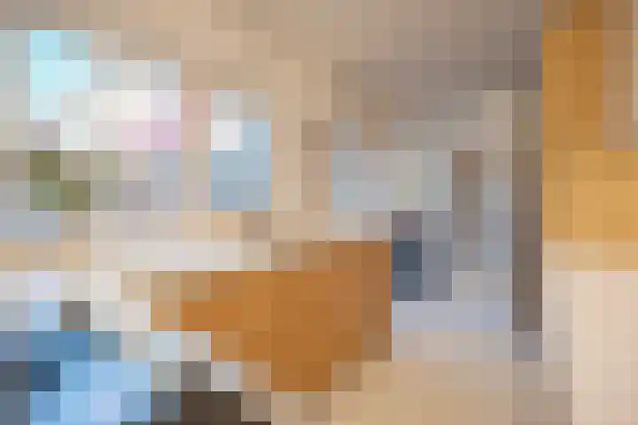 Julianastraat 13 Duiven thumbnail 16
