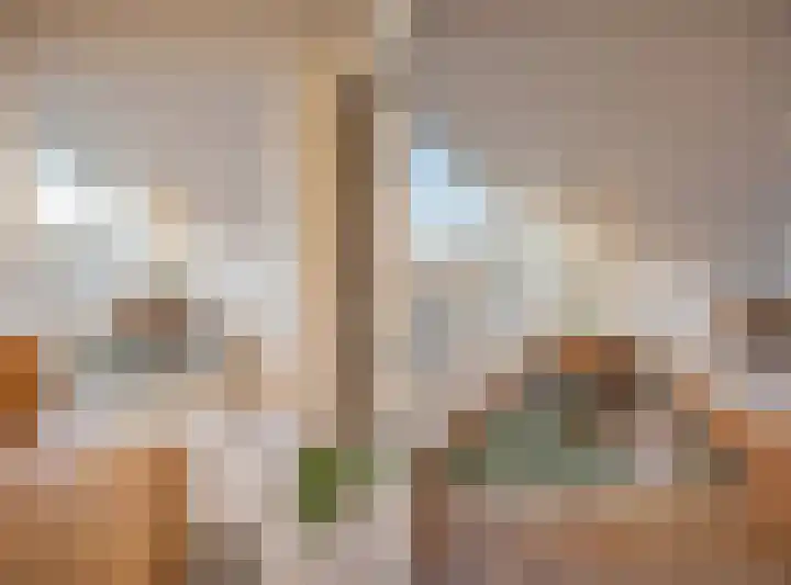 Julianastraat 13 Duiven thumbnail 18