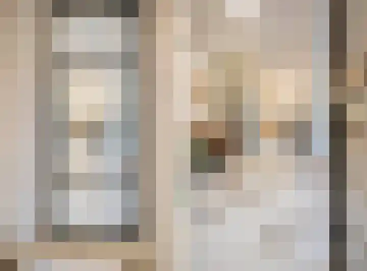 Julianastraat 13 Duiven thumbnail 20