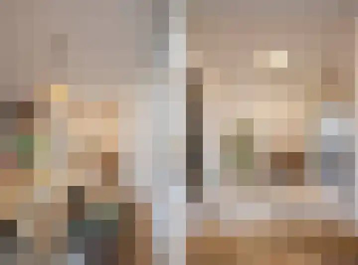 Julianastraat 13 Duiven thumbnail 21