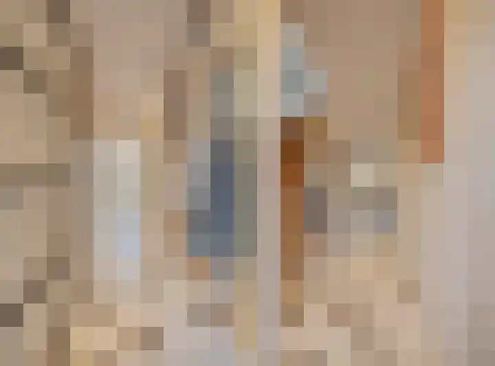 Julianastraat 13 Duiven thumbnail 22