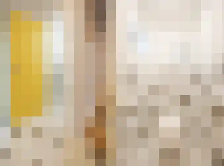 Julianastraat 13 Duiven thumbnail 24