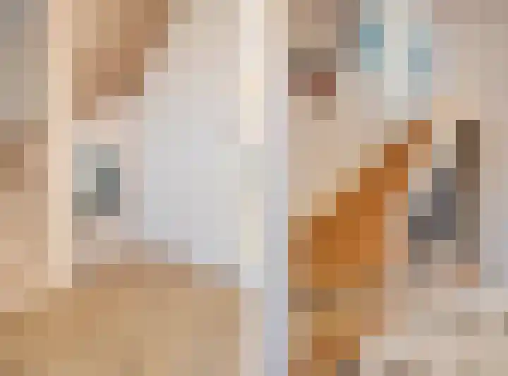 Julianastraat 13 Duiven thumbnail 25