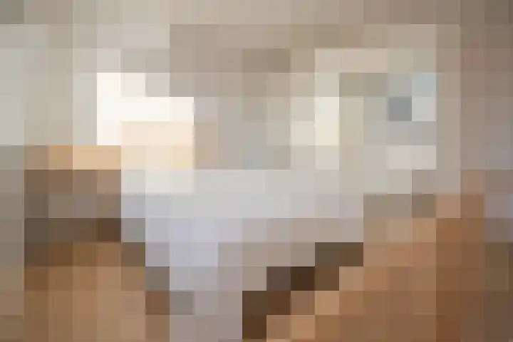 Julianastraat 13 Duiven thumbnail 28