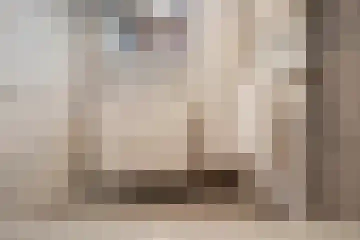 Julianastraat 13 Duiven thumbnail 32