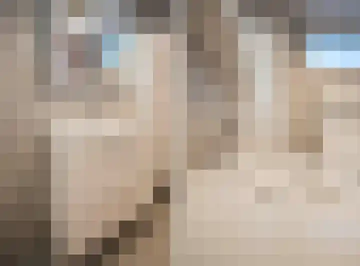 Julianastraat 13 Duiven thumbnail 34
