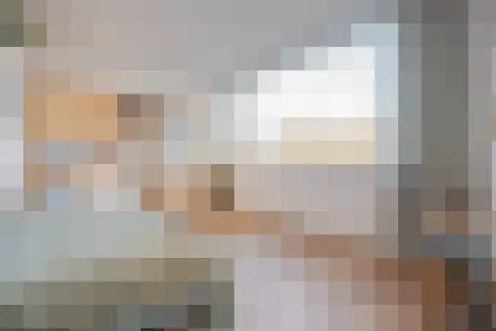 Julianastraat 13 Duiven thumbnail 36