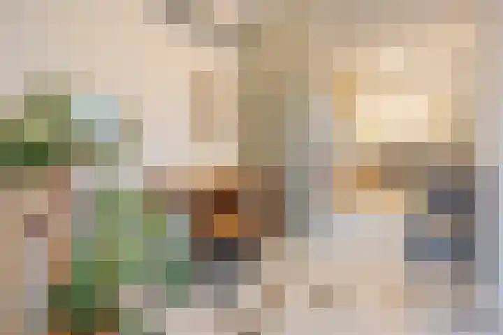 Julianastraat 13 Duiven thumbnail 4