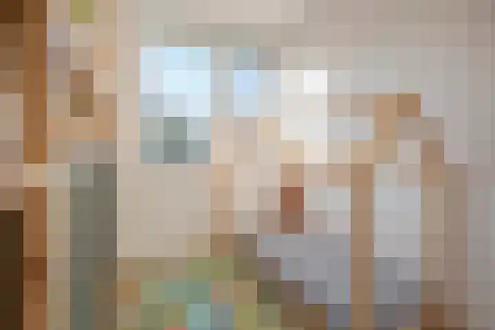 Julianastraat 13 Duiven thumbnail 41