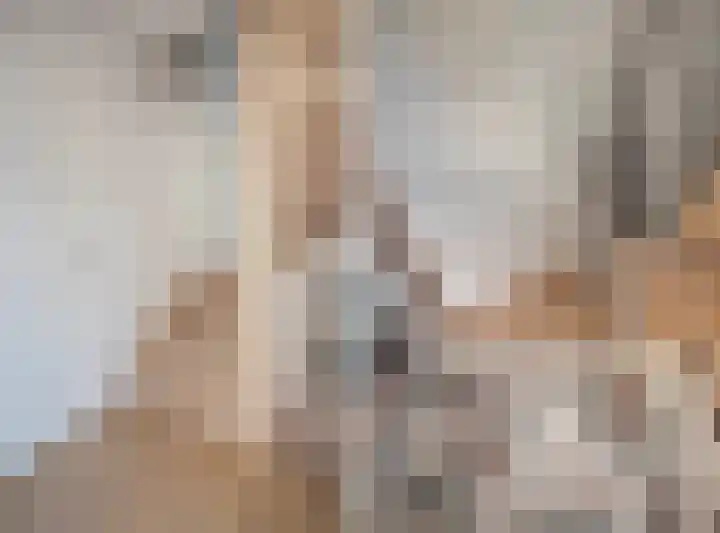 Julianastraat 13 Duiven thumbnail 43