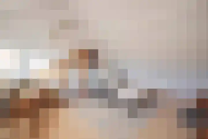 Julianastraat 13 Duiven thumbnail 44