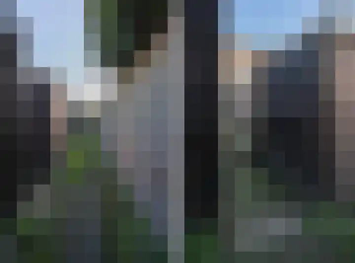 Julianastraat 13 Duiven thumbnail 52
