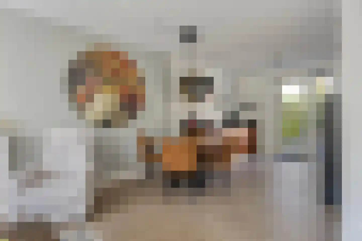 Julianastraat 13 E Berghem thumbnail 10
