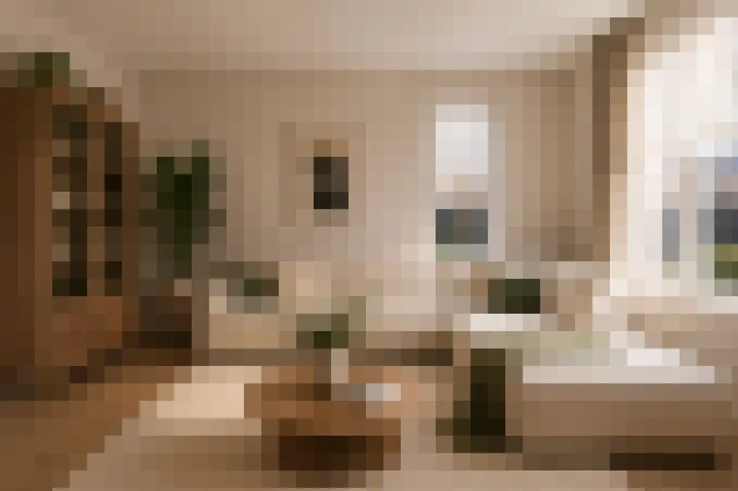 Julianastraat 13 E Berghem thumbnail 10