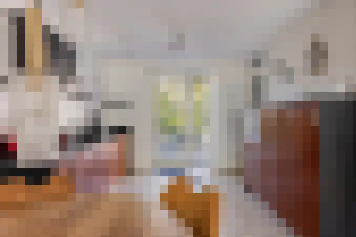Julianastraat 13 E Berghem thumbnail 12