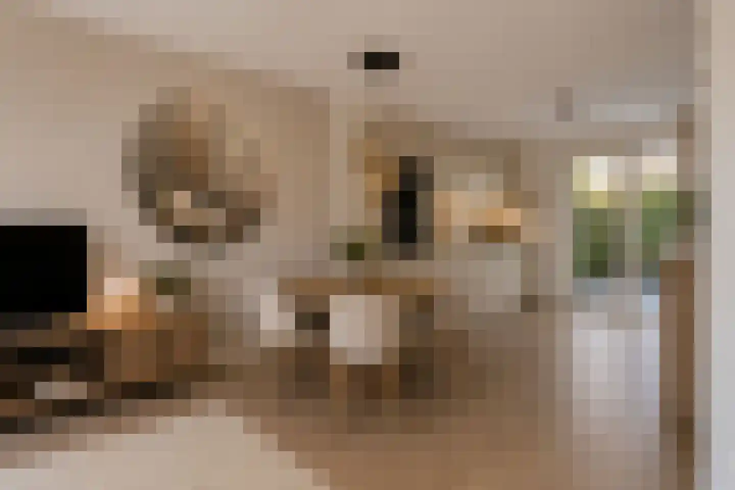 Julianastraat 13 E Berghem thumbnail 12