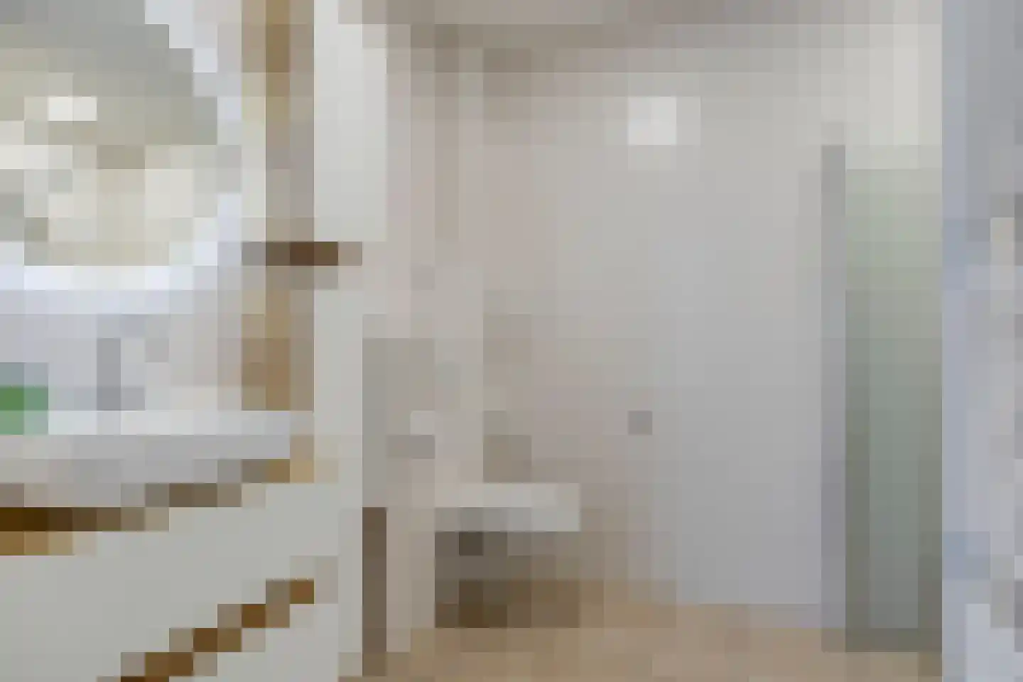 Julianastraat 13 E Berghem thumbnail 15